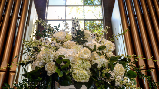 Foto 11-4-18 10 06 57 a. m.