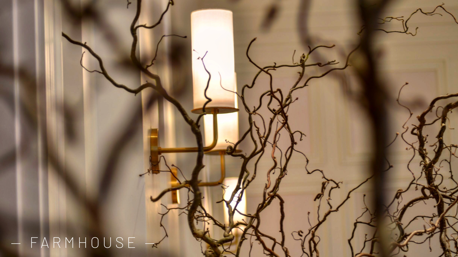 Foto 11-4-18 10 15 49 a. m.