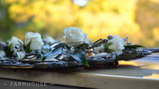 Foto 11-4-18 10 16 54 a. m.